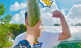 网红爆料吃瓜入口,揭秘吃瓜界的入口秘籍！