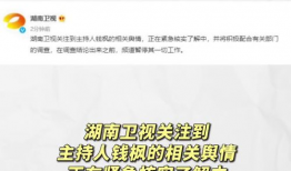 娱乐圈吃瓜预测,揭秘明星们的“吃瓜”大作战